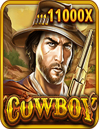 วิธีเล่น roma joker สำหรับมือใหม่และมือโปร